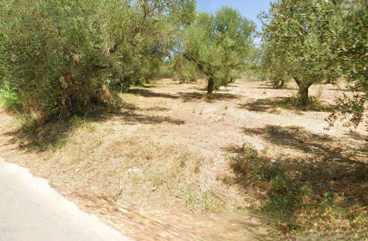 Picture of Residential Land For Sale in Zakinthos, Attica, Greece