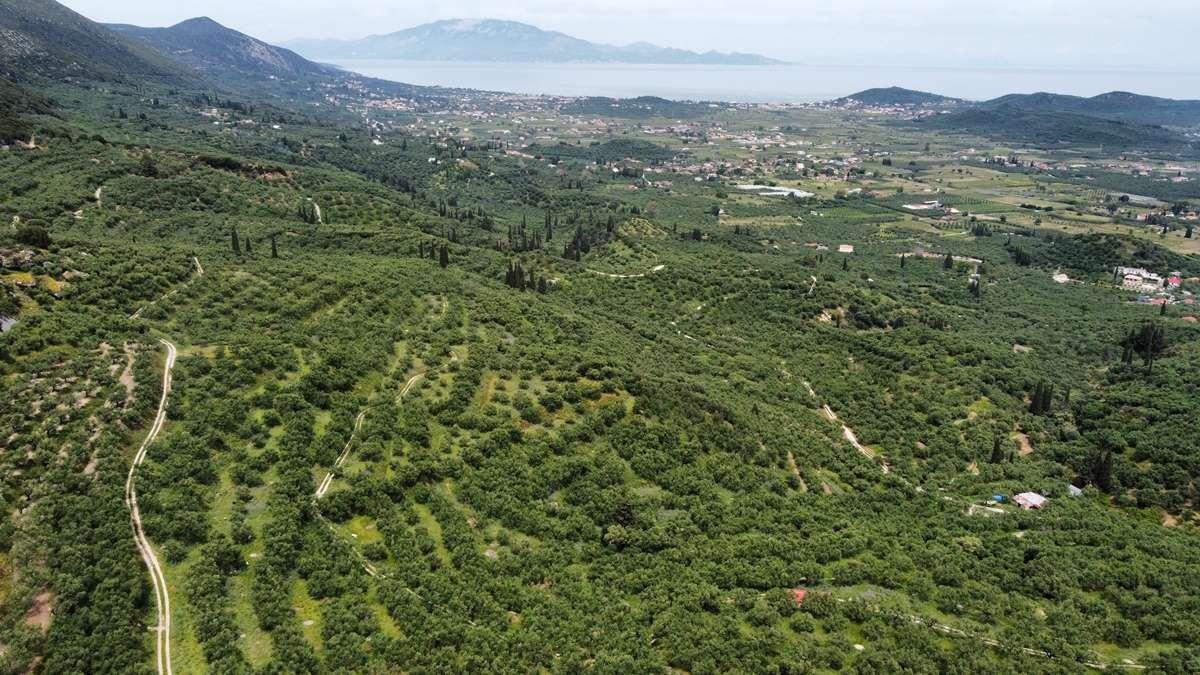 Picture of Residential Land For Sale in Zakinthos, Attica, Greece