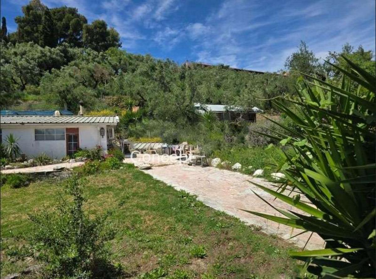 Picture of Home For Sale in Zakinthos, Attica, Greece