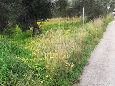 Residential Land For Sale in Zakinthos, Greece