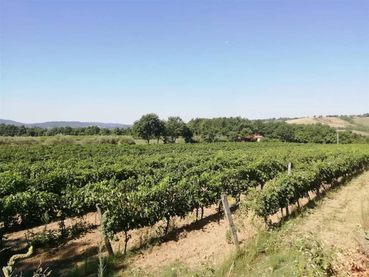Picture of Home For Sale in Sorano, Tuscany, Italy