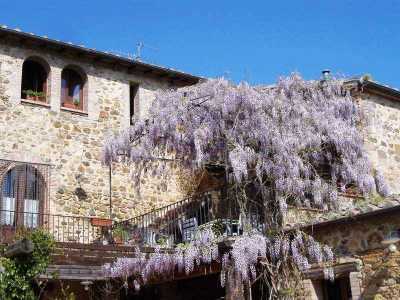 Home For Sale in Cinigiano, Italy