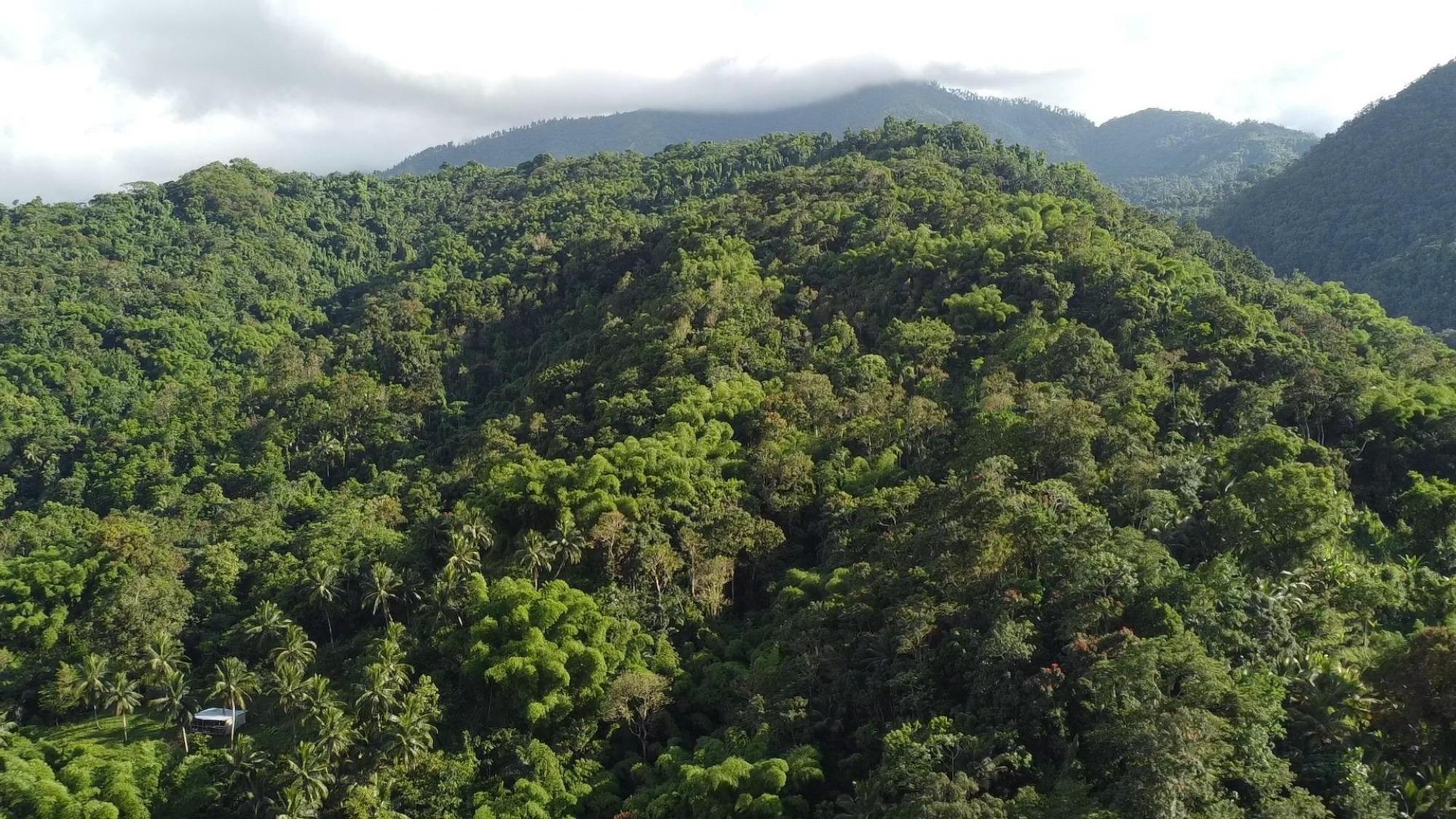 Picture of Residential Land For Sale in Kingston, Kingston, Jamaica