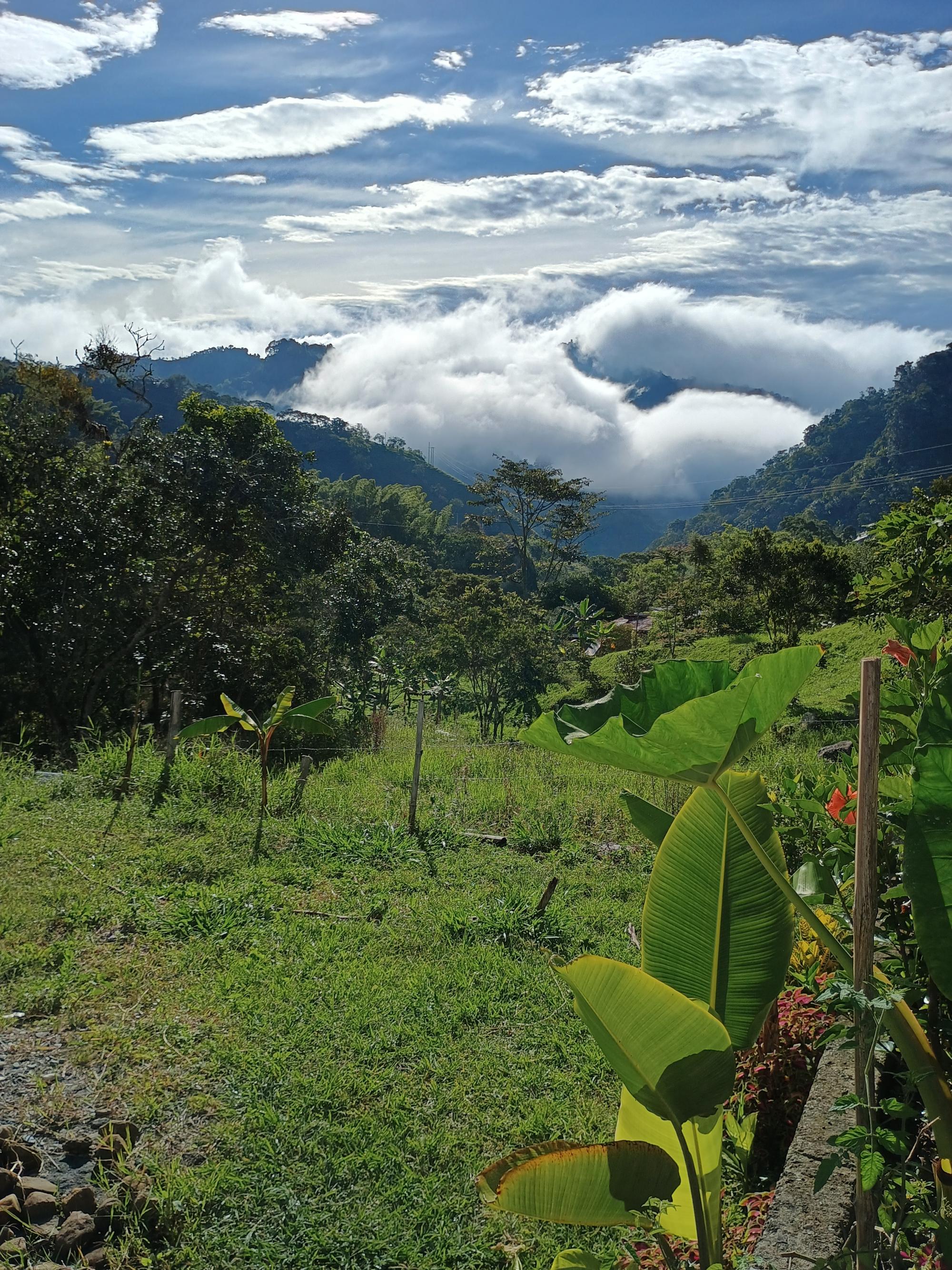 Bungalow For Sale in Caldas, Caldas, Colombia