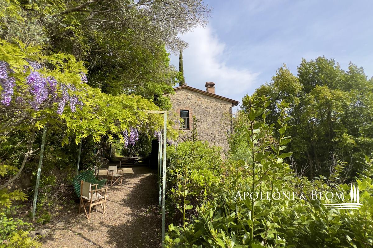 Picture of Home For Sale in Cetona, Tuscany, Italy