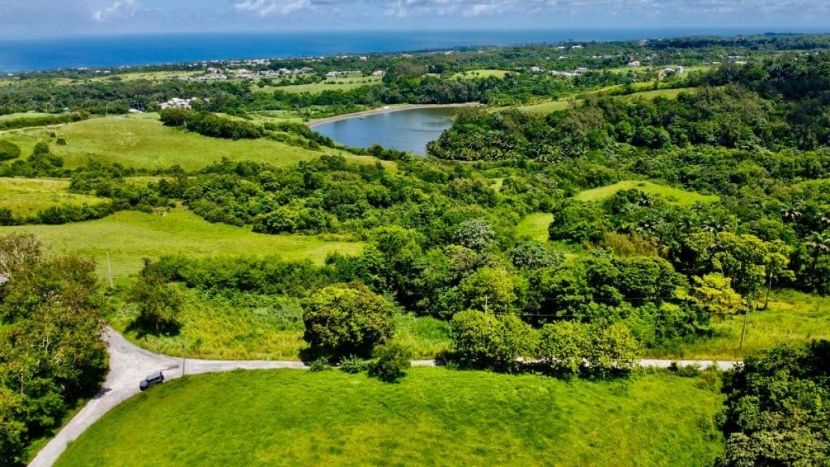 Picture of Residential Land For Sale in Bridgetown, Saint Michael, Barbados