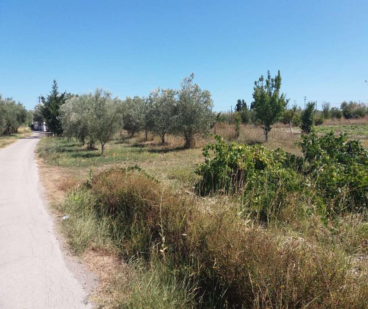 Picture of Residential Land For Sale in Zakinthos, Attica, Greece