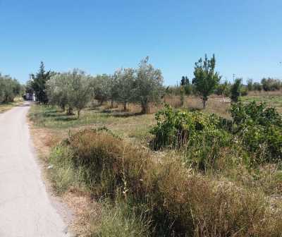 Residential Land For Sale in Zakinthos, Greece