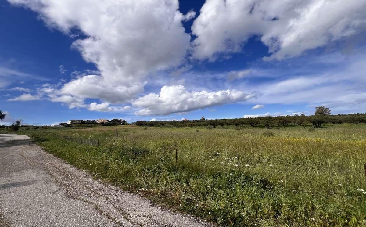 Picture of Residential Land For Sale in Zakinthos, Attica, Greece
