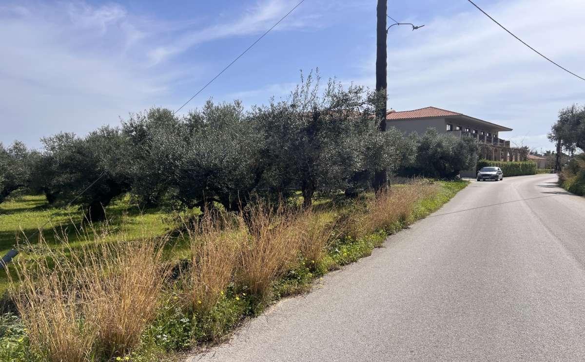 Picture of Residential Land For Sale in Zakinthos, Attica, Greece