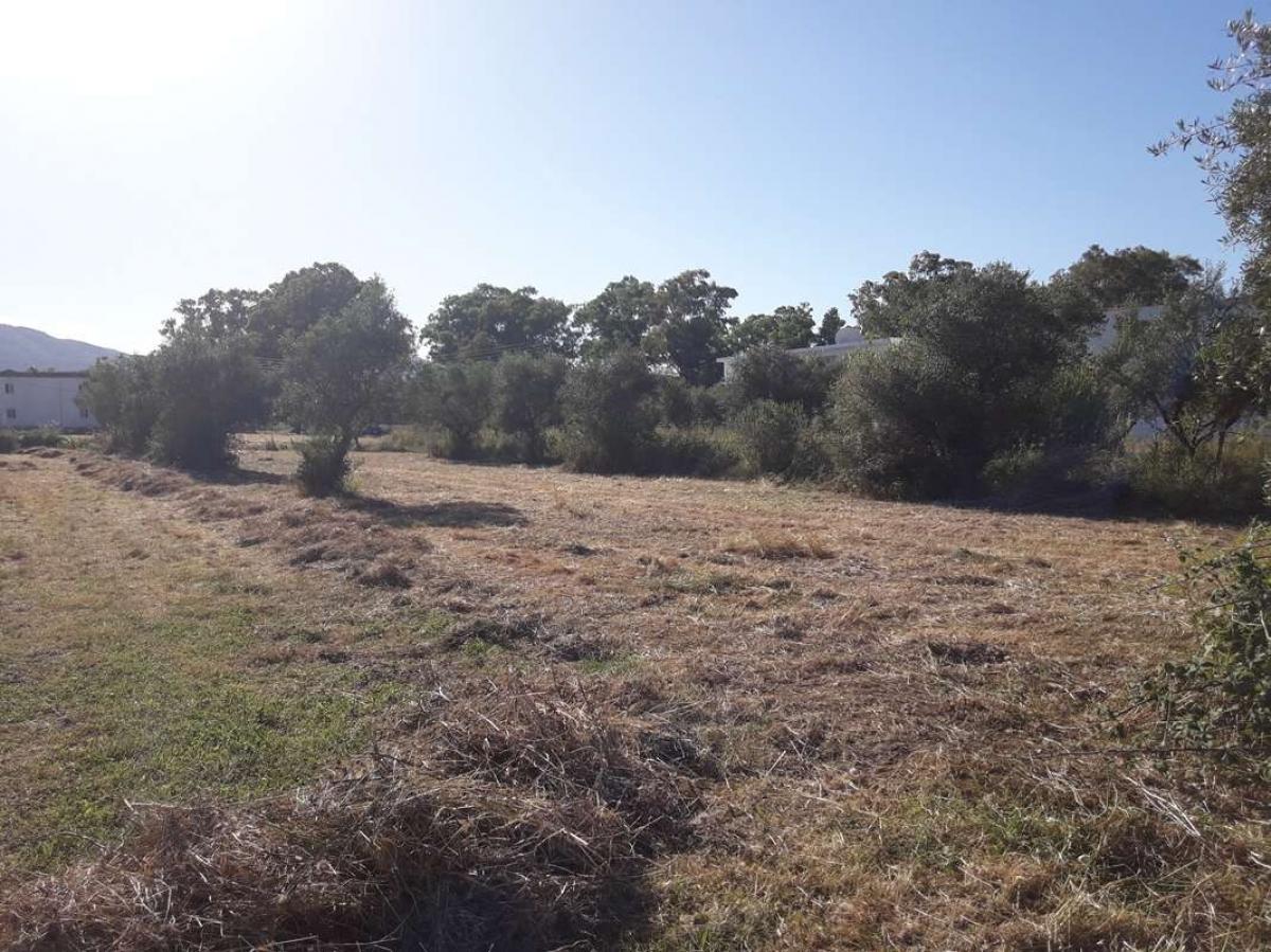 Picture of Home For Sale in Zakinthos, Attica, Greece