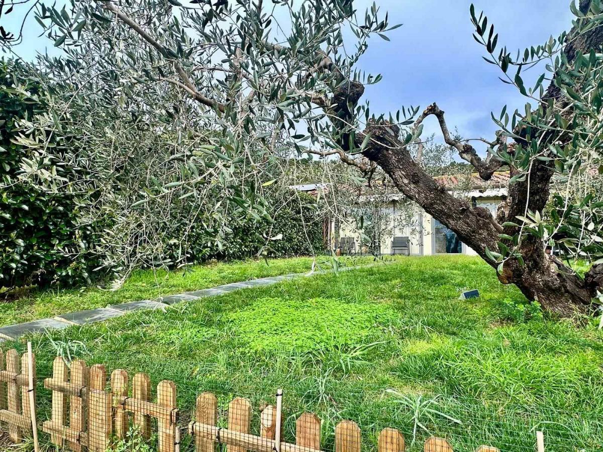 Picture of Home For Sale in Castiglione Della Pescaia, Tuscany, Italy