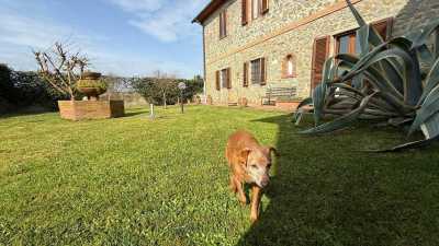 Home For Sale in Buggiano, Italy