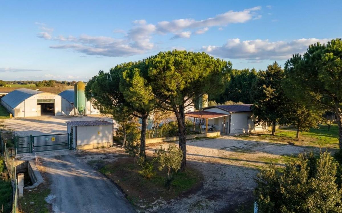 Picture of Home For Sale in Castiglione Del Lago, Umbria, Italy