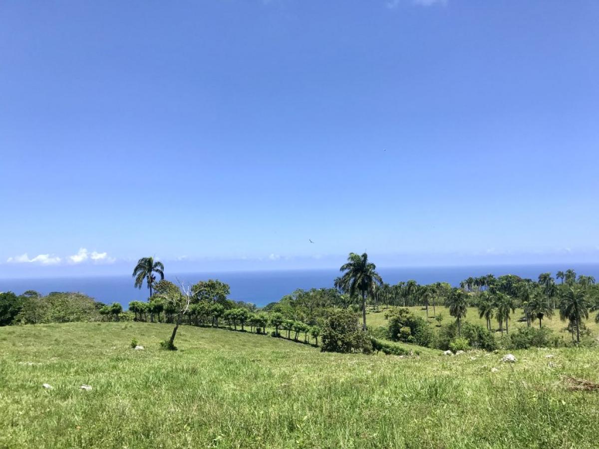 Picture of Farm For Sale in Cabrera, Maria Trinidad Sanchez, Dominican Republic