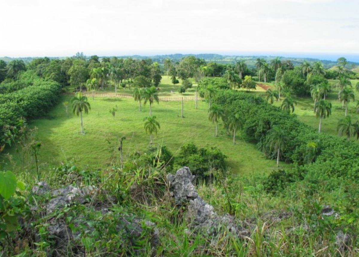 Picture of Farm For Sale in Cabrera, Maria Trinidad Sanchez, Dominican Republic