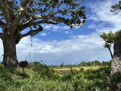 Home For Sale in Cabrera, Dominican Republic