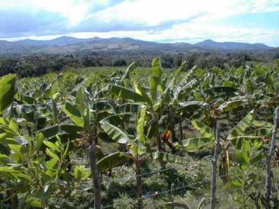 Farm For Sale in Rio San Juan, Dominican Republic