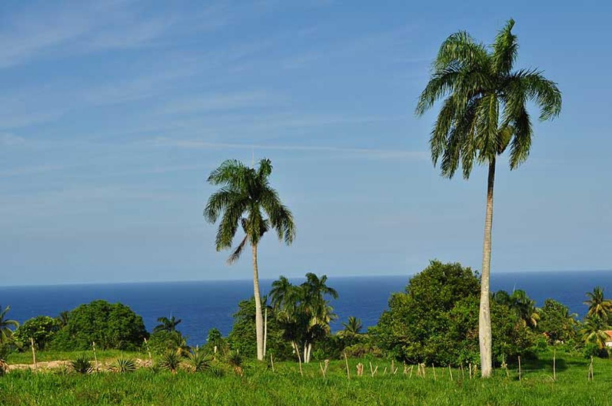 Picture of Home For Sale in Cabrera, Maria Trinidad Sanchez, Dominican Republic