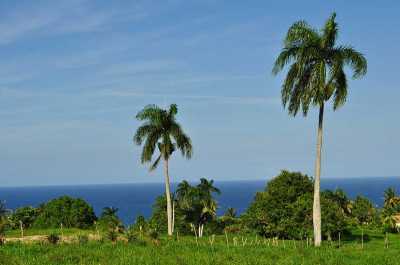 Home For Sale in Cabrera, Dominican Republic