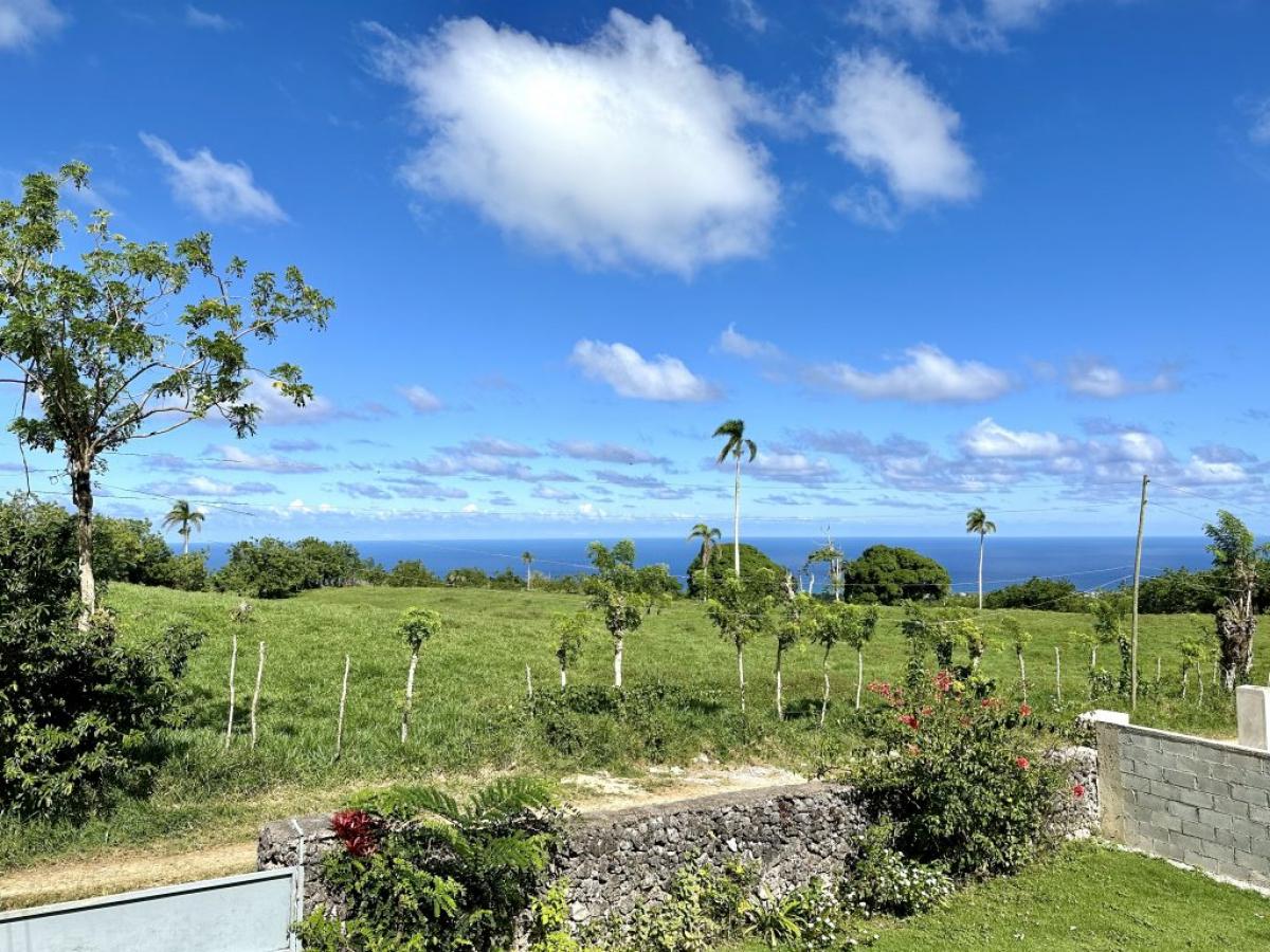Picture of Farm For Sale in Cabrera, Maria Trinidad Sanchez, Dominican Republic