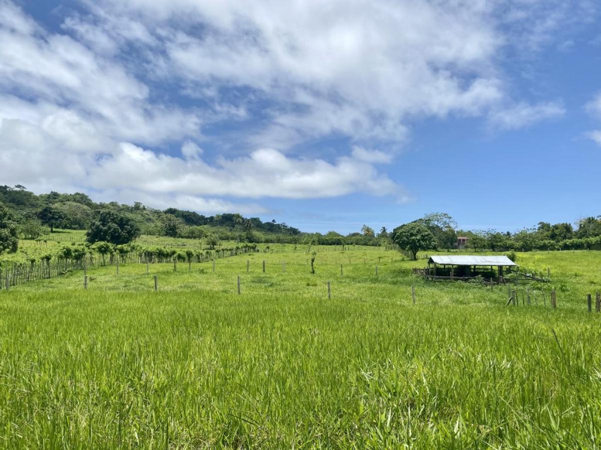 Picture of Farm For Sale in Cabrera, Maria Trinidad Sanchez, Dominican Republic