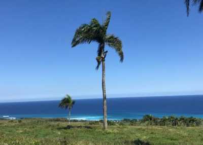 Home For Sale in Cabrera, Dominican Republic