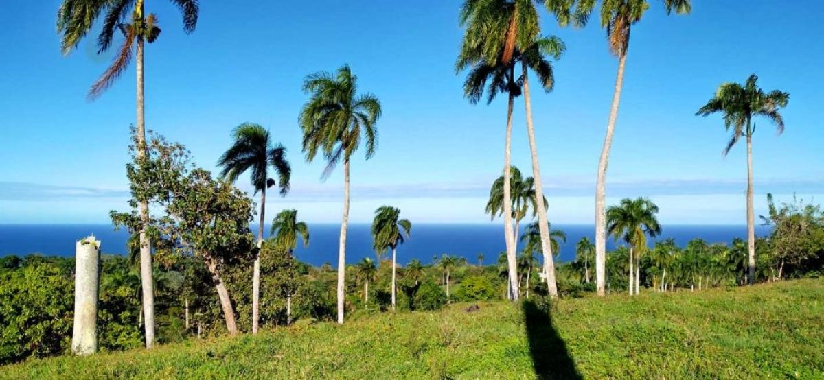 Picture of Home For Sale in Cabrera, Maria Trinidad Sanchez, Dominican Republic