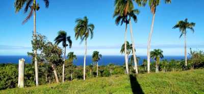Home For Sale in Cabrera, Dominican Republic