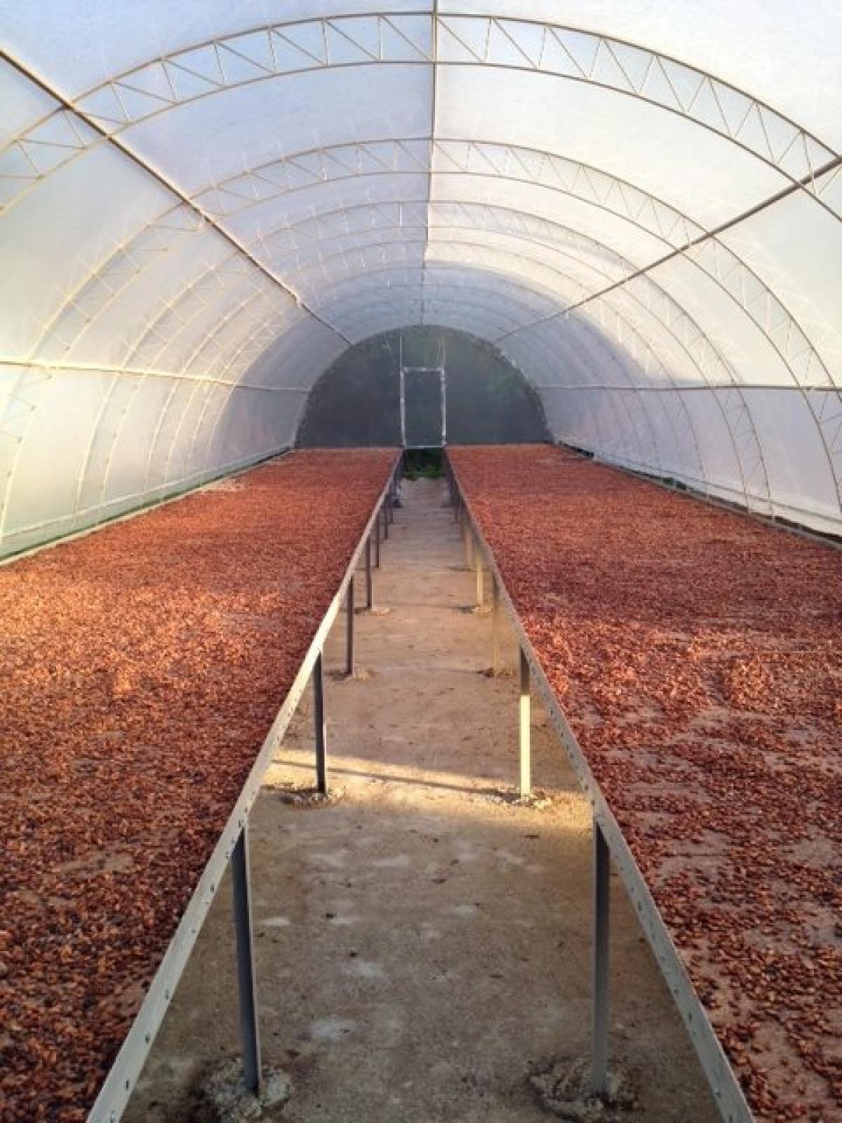 Picture of Farm For Sale in Puerto Plata, Puerto Plata, Dominican Republic
