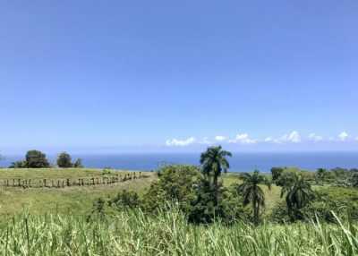 Farm For Sale in Cabrera, Dominican Republic