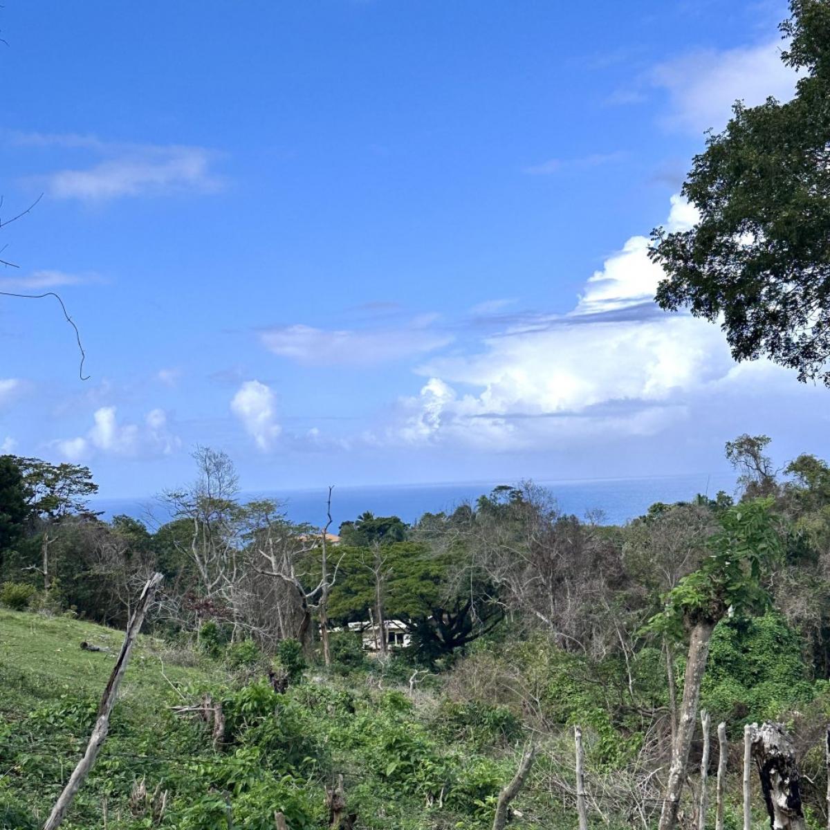 Picture of Home For Sale in Rio San Juan, Maria Trinidad Sanchez, Dominican Republic
