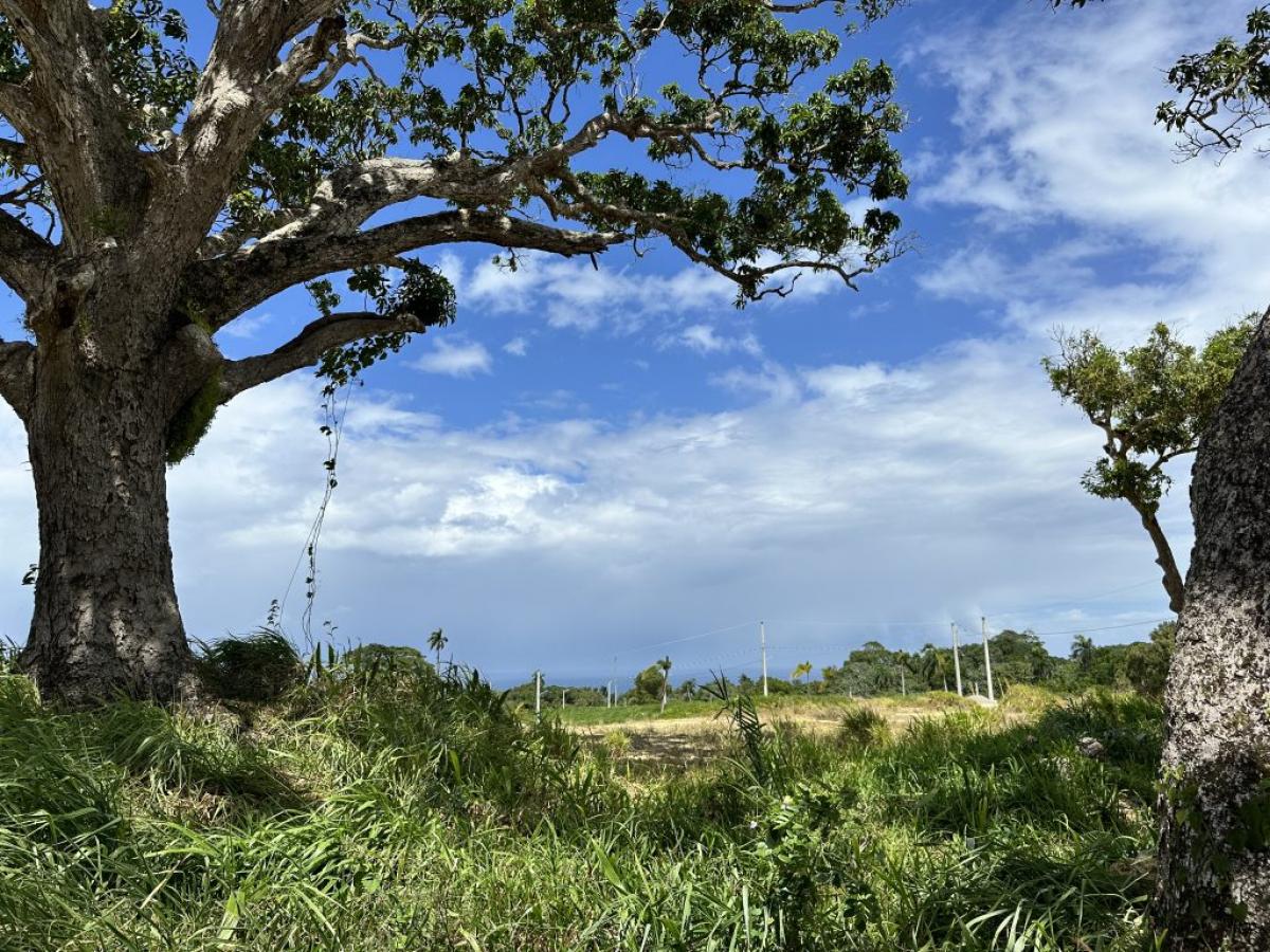 Picture of Home For Sale in Cabrera, Maria Trinidad Sanchez, Dominican Republic