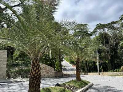 Home For Sale in Cabrera, Dominican Republic