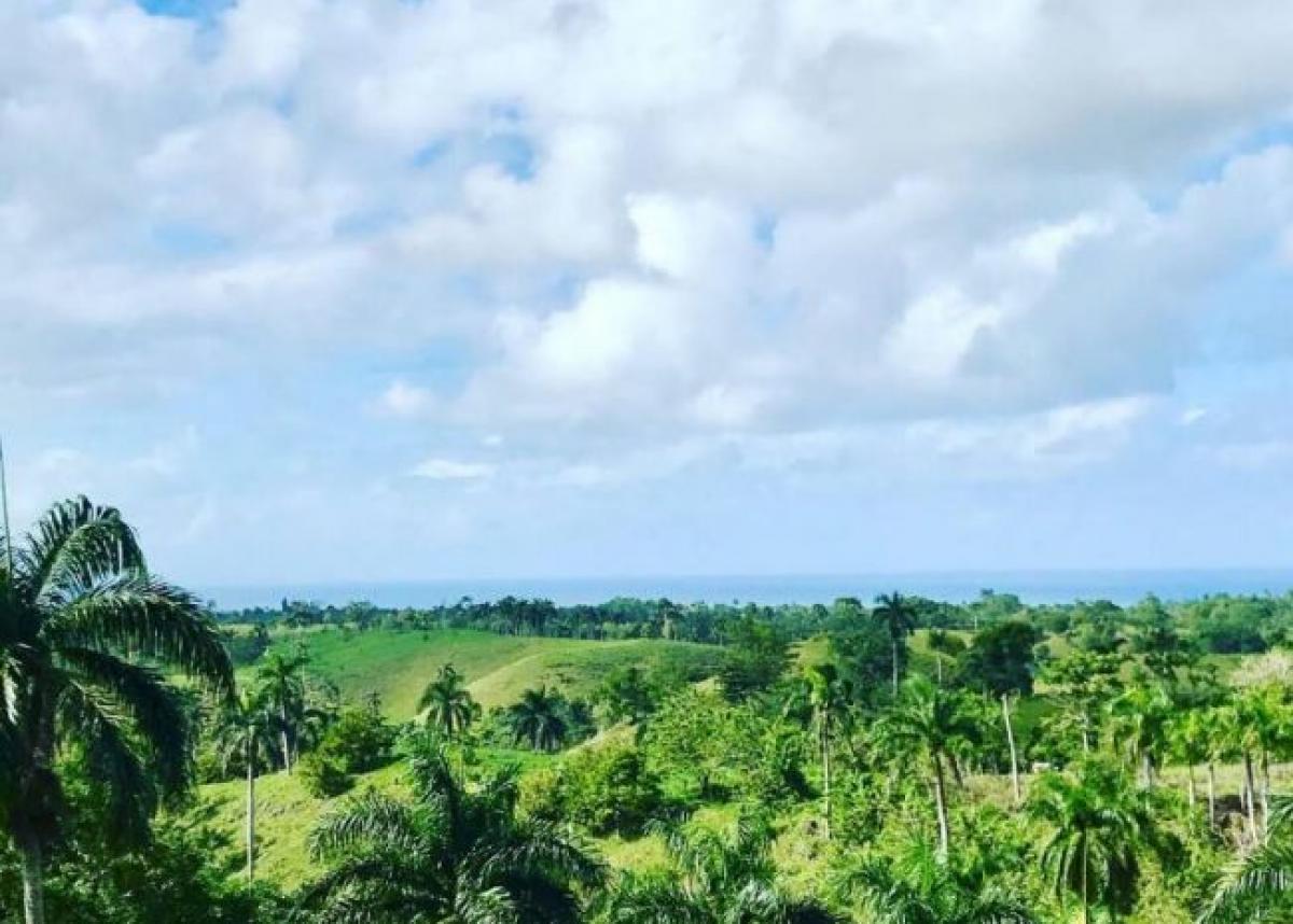 Picture of Farm For Sale in Rio San Juan, Maria Trinidad Sanchez, Dominican Republic