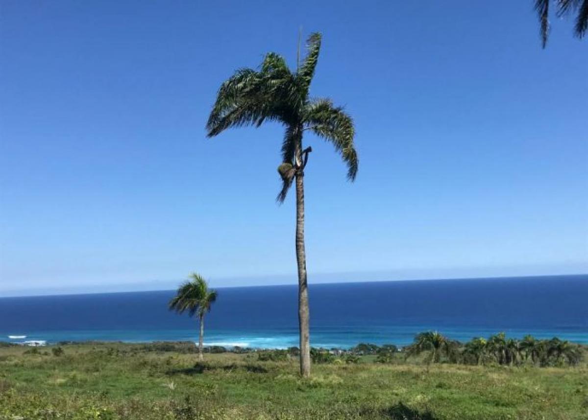 Picture of Home For Sale in Cabrera, Maria Trinidad Sanchez, Dominican Republic