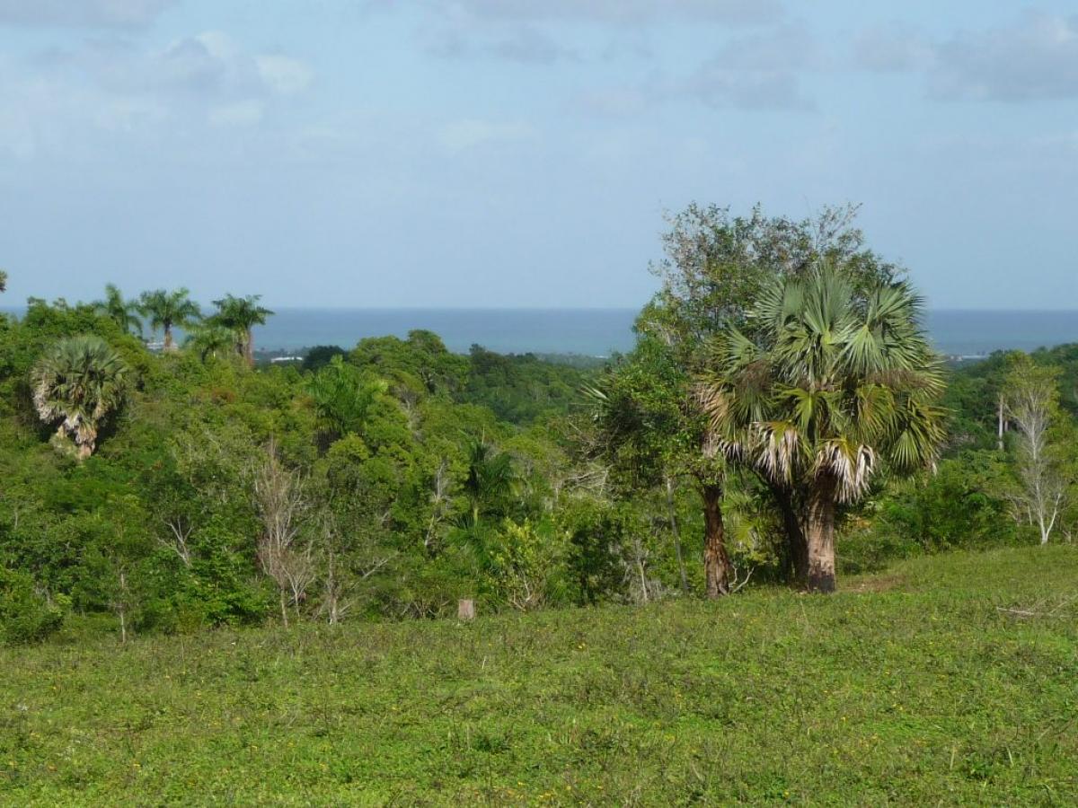 Picture of Residential Land For Sale in Cabarete, Puerto Plata, Dominican Republic