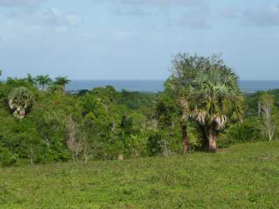 Residential Land For Sale in Cabarete, Dominican Republic