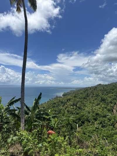 Residential Land For Sale in Samana, Dominican Republic
