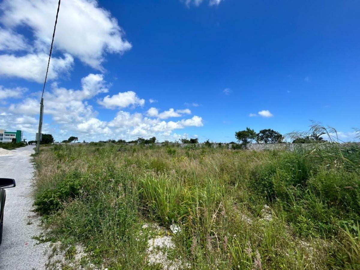 Picture of Home For Sale in Punta Cana, La Altagracia, Dominican Republic