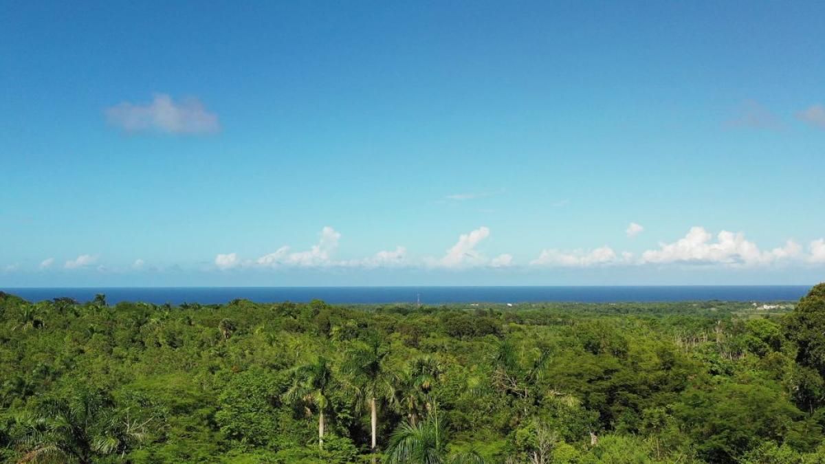 Picture of Residential Land For Sale in Cabarete, Puerto Plata, Dominican Republic