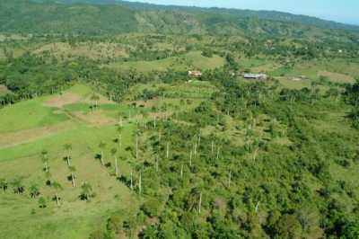 Home For Sale in 