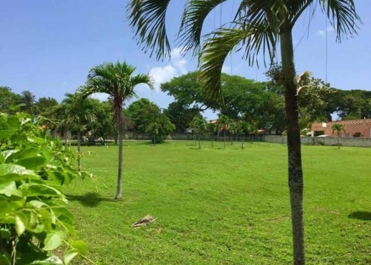 Picture of Home For Sale in Sosua, Puerto Plata, Dominican Republic