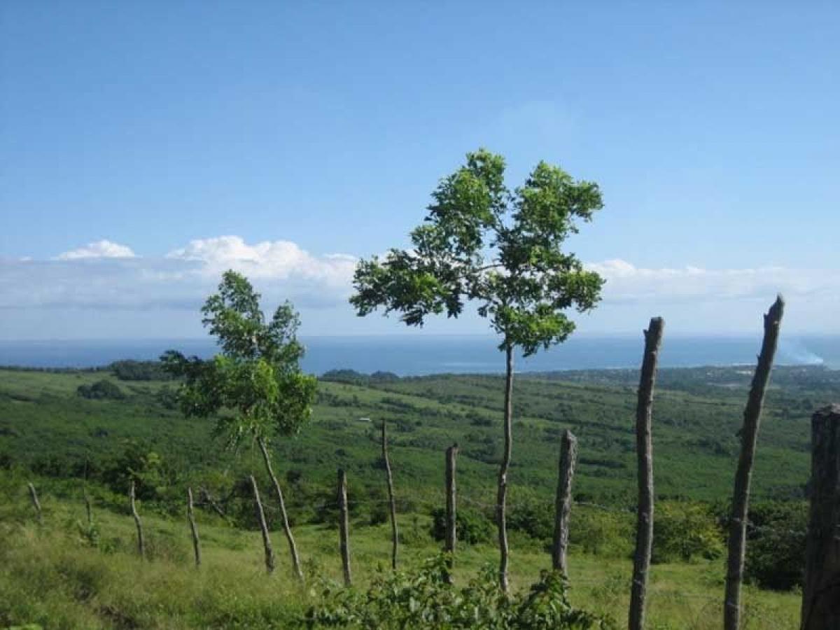 Picture of Farm For Sale in Puerto Plata, Puerto Plata, Dominican Republic