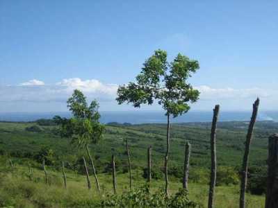 Farm For Sale in Puerto Plata, Dominican Republic