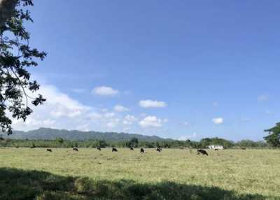 Farm For Sale in Sabaneta, Dominican Republic
