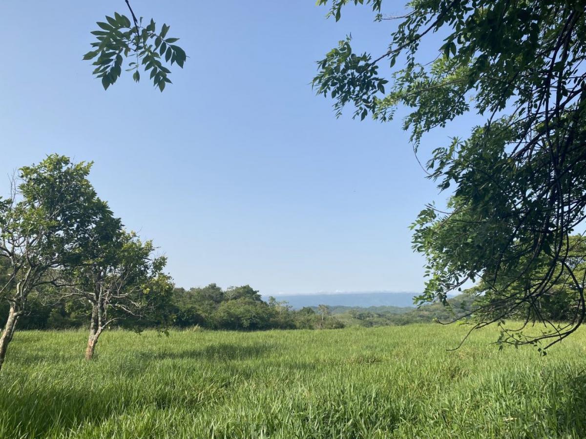 Picture of Home For Sale in Cabarete, Puerto Plata, Dominican Republic
