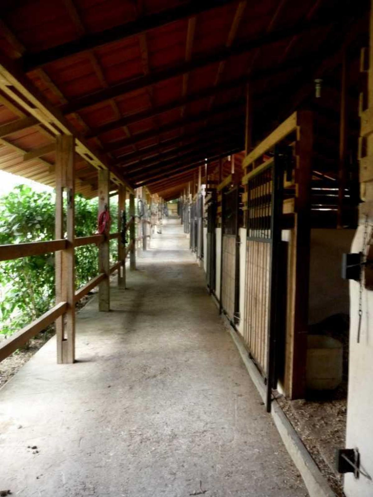 Picture of Home For Sale in Cabarete, Puerto Plata, Dominican Republic