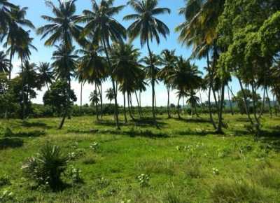 Home For Sale in