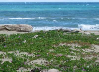 Home For Sale in Cabarete, Dominican Republic